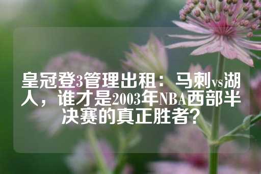 皇冠登3管理出租：马刺vs湖人，谁才是2003年NBA西部半决赛的真正胜者？