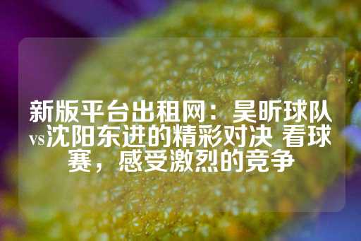 新版平台出租网：昊昕球队vs沈阳东进的精彩对决 看球赛，感受激烈的竞争