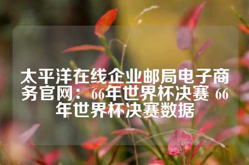 太平洋在线企业邮局电子商务官网：66年世界杯决赛 66年世界杯决赛数据