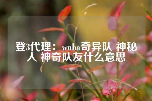 登3代理：wnba奇异队 神秘人 神奇队友什么意思-第1张图片-皇冠信用盘出租