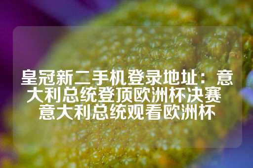 皇冠新二手机登录地址：意大利总统登顶欧洲杯决赛 意大利总统观看欧洲杯