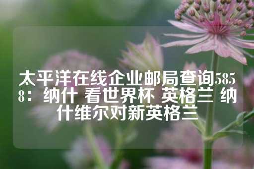 太平洋在线企业邮局查询5858：纳什 看世界杯 英格兰 纳什维尔对新英格兰