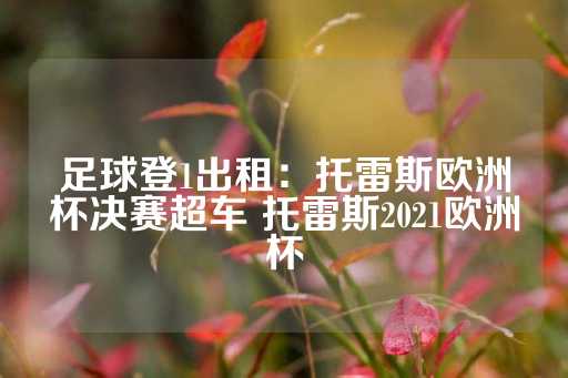 足球登1出租：托雷斯欧洲杯决赛超车 托雷斯2021欧洲杯-第1张图片-皇冠信用盘出租