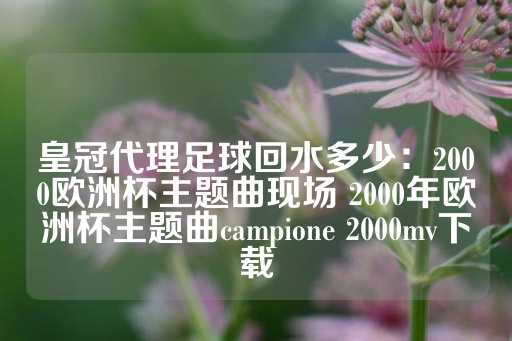 皇冠代理足球回水多少：2000欧洲杯主题曲现场 2000年欧洲杯主题曲campione 2000mv下载-第1张图片-皇冠信用盘出租