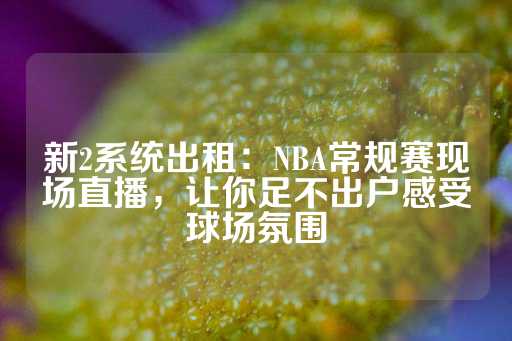 新2系统出租：NBA常规赛现场直播，让你足不出户感受球场氛围