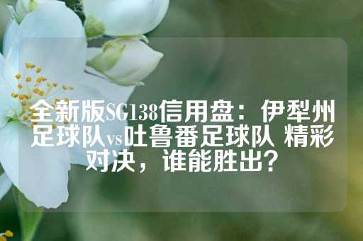 全新版SG138信用盘：伊犁州足球队vs吐鲁番足球队 精彩对决，谁能胜出？