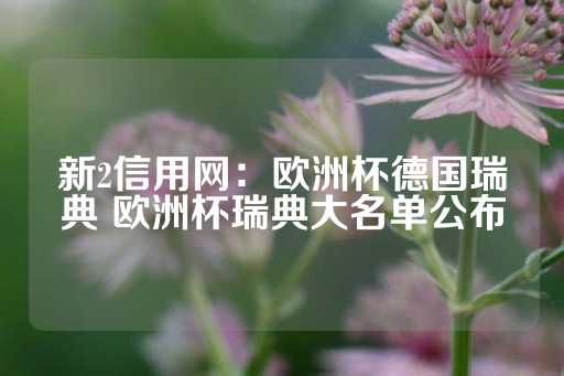 新2信用网：欧洲杯德国瑞典 欧洲杯瑞典大名单公布