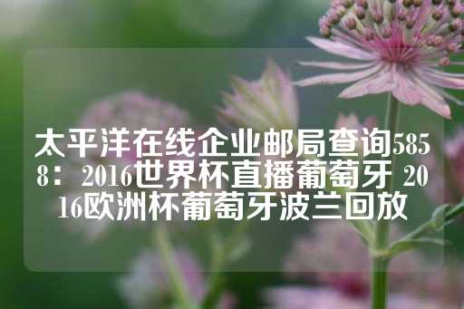 太平洋在线企业邮局查询5858：2016世界杯直播葡萄牙 2016欧洲杯葡萄牙波兰回放-第1张图片-皇冠信用盘出租