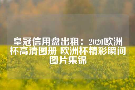 皇冠信用盘出租：2020欧洲杯高清图册 欧洲杯精彩瞬间图片集锦-第1张图片-皇冠信用盘出租