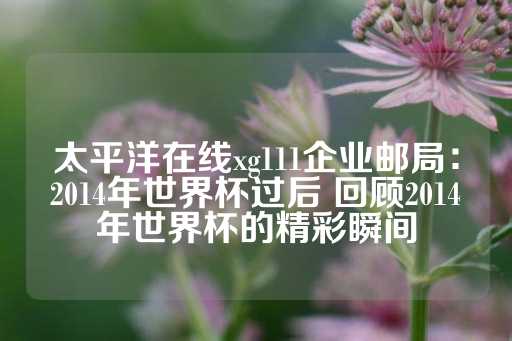 太平洋在线xg111企业邮局：2014年世界杯过后 回顾2014年世界杯的精彩瞬间-第1张图片-皇冠信用盘出租