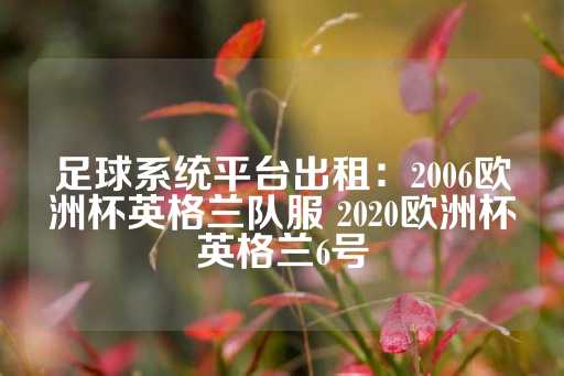 足球系统平台出租：2006欧洲杯英格兰队服 2020欧洲杯英格兰6号-第1张图片-皇冠信用盘出租