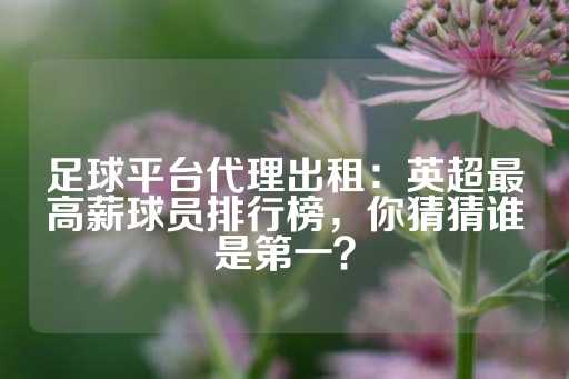 足球平台代理出租：英超最高薪球员排行榜，你猜猜谁是第一？-第1张图片-皇冠信用盘出租