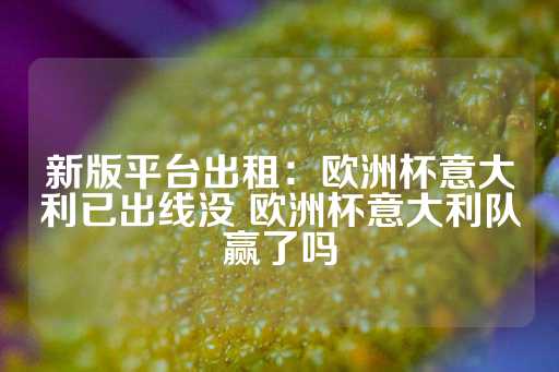 新版平台出租：欧洲杯意大利已出线没 欧洲杯意大利队赢了吗