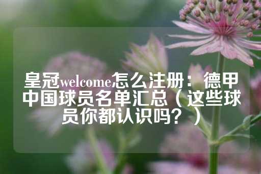 皇冠welcome怎么注册：德甲中国球员名单汇总（这些球员你都认识吗？）-第1张图片-皇冠信用盘出租