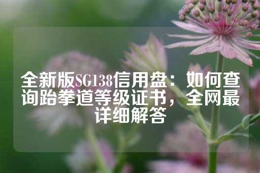 全新版SG138信用盘：如何查询跆拳道等级证书，全网最详细解答-第1张图片-皇冠信用盘出租