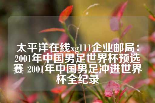 太平洋在线xg111企业邮局：2001年中国男足世界杯预选赛 2001年中国男足冲进世界杯全纪录-第1张图片-皇冠信用盘出租