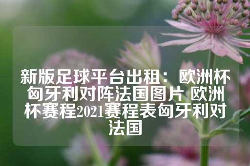 新版足球平台出租：欧洲杯匈牙利对阵法国图片 欧洲杯赛程2021赛程表匈牙利对法国-第1张图片-皇冠信用盘出租