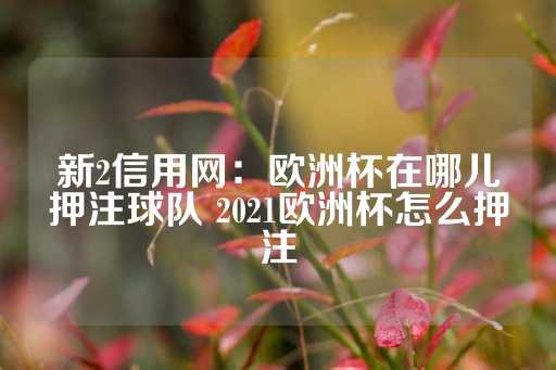 新2信用网：欧洲杯在哪儿押注球队 2021欧洲杯怎么押注-第1张图片-皇冠信用盘出租