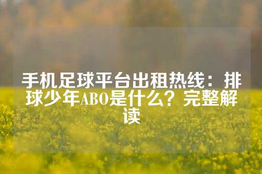 手机足球平台出租热线：排球少年ABO是什么？完整解读