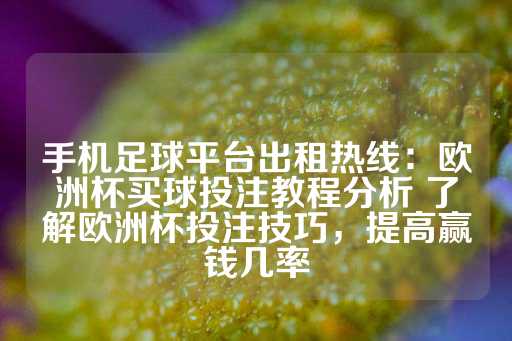 手机足球平台出租热线：欧洲杯买球投注教程分析 了解欧洲杯投注技巧，提高赢钱几率-第1张图片-皇冠信用盘出租