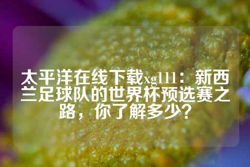 太平洋在线下载xg111：新西兰足球队的世界杯预选赛之路，你了解多少？-第1张图片-皇冠信用盘出租