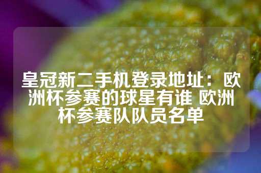 皇冠新二手机登录地址：欧洲杯参赛的球星有谁 欧洲杯参赛队队员名单-第1张图片-皇冠信用盘出租