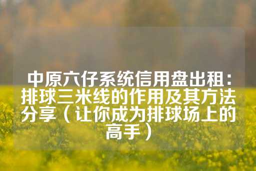 中原六仔系统信用盘出租：排球三米线的作用及其方法分享（让你成为排球场上的高手）