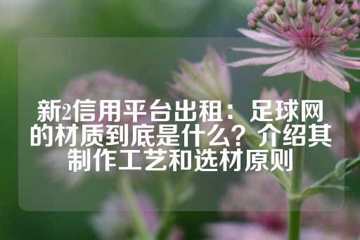 新2信用平台出租：足球网的材质到底是什么？介绍其制作工艺和选材原则