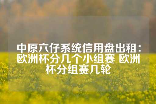 中原六仔系统信用盘出租：欧洲杯分几个小组赛 欧洲杯分组赛几轮-第1张图片-皇冠信用盘出租