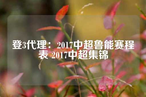 登3代理：2017中超鲁能赛程表 2017中超集锦