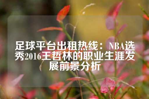 足球平台出租热线：NBA选秀2016王哲林的职业生涯发展前景分析-第1张图片-皇冠信用盘出租