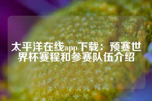 太平洋在线app下载：预赛世界杯赛程和参赛队伍介绍-第1张图片-皇冠信用盘出租