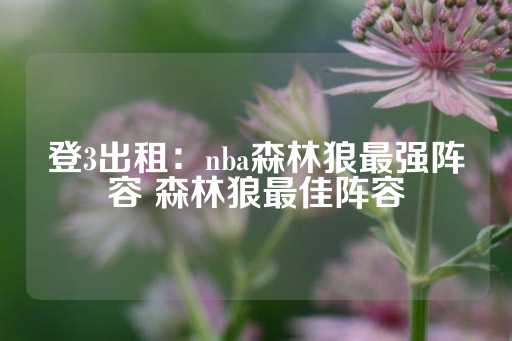 登3出租：nba森林狼最强阵容 森林狼最佳阵容-第1张图片-皇冠信用盘出租