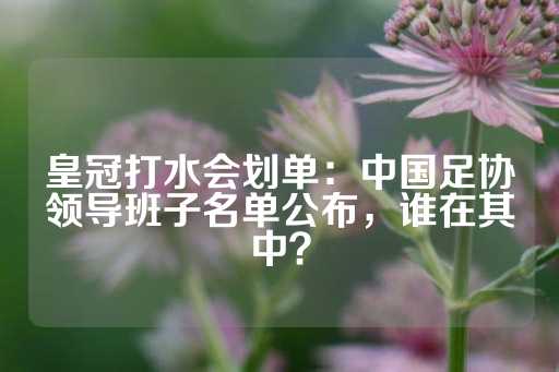 皇冠打水会划单：中国足协领导班子名单公布，谁在其中？