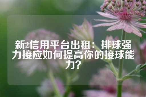 新2信用平台出租：排球强力接应如何提高你的接球能力？