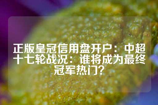 正版皇冠信用盘开户：中超十七轮战况：谁将成为最终冠军热门？