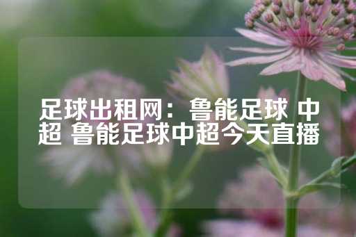 足球出租网：鲁能足球 中超 鲁能足球中超今天直播