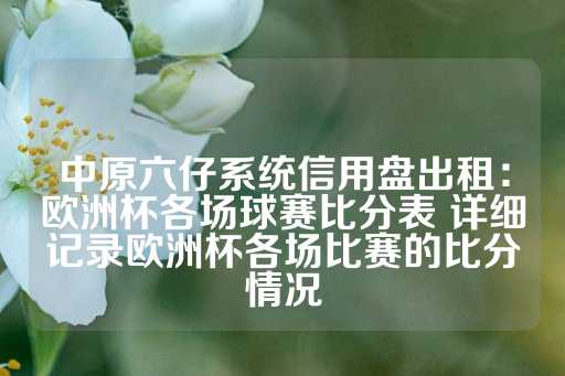 中原六仔系统信用盘出租：欧洲杯各场球赛比分表 详细记录欧洲杯各场比赛的比分情况