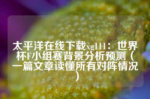 太平洋在线下载xg111：世界杯F小组赛背景分析预测（一篇文章读懂所有对阵情况）