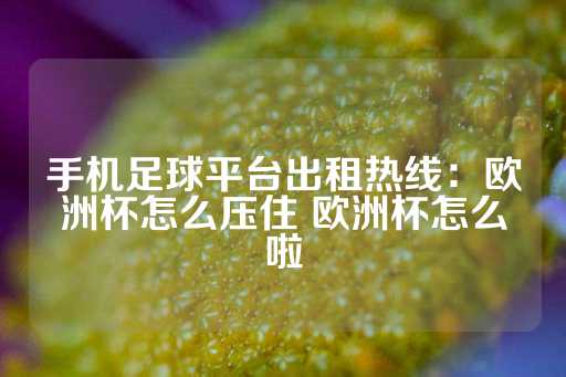 手机足球平台出租热线：欧洲杯怎么压住 欧洲杯怎么啦-第1张图片-皇冠信用盘出租