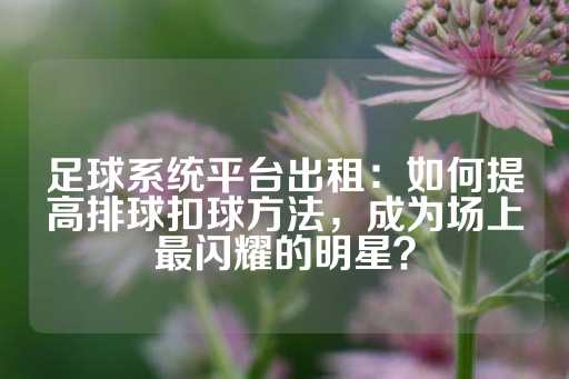 足球系统平台出租：如何提高排球扣球方法，成为场上最闪耀的明星？