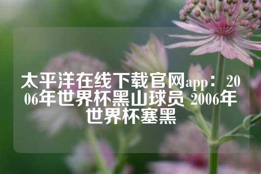 太平洋在线下载官网app：2006年世界杯黑山球员 2006年世界杯塞黑-第1张图片-皇冠信用盘出租