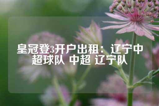 皇冠登3开户出租：辽宁中超球队 中超 辽宁队