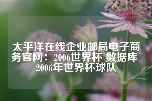 太平洋在线企业邮局电子商务官网：2006世界杯 数据库 2006年世界杯球队-第1张图片-皇冠信用盘出租