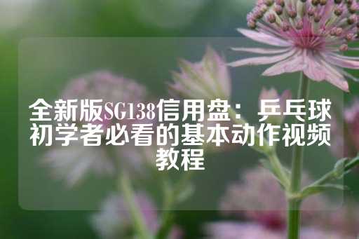 全新版SG138信用盘：乒乓球初学者必看的基本动作视频教程