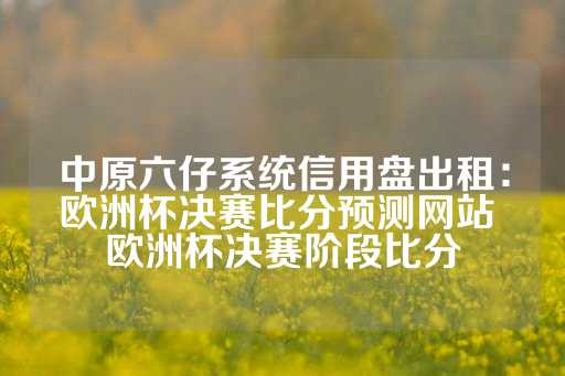 中原六仔系统信用盘出租：欧洲杯决赛比分预测网站 欧洲杯决赛阶段比分-第1张图片-皇冠信用盘出租