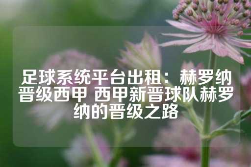 足球系统平台出租：赫罗纳晋级西甲 西甲新晋球队赫罗纳的晋级之路