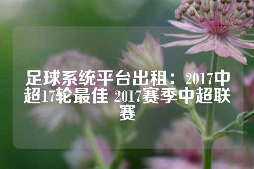 足球系统平台出租：2017中超17轮最佳 2017赛季中超联赛-第1张图片-皇冠信用盘出租