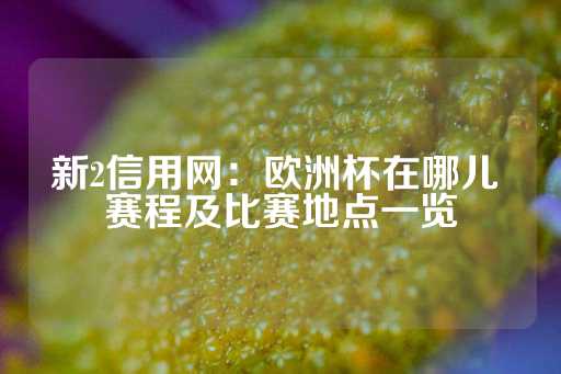 新2信用网：欧洲杯在哪儿 赛程及比赛地点一览-第1张图片-皇冠信用盘出租