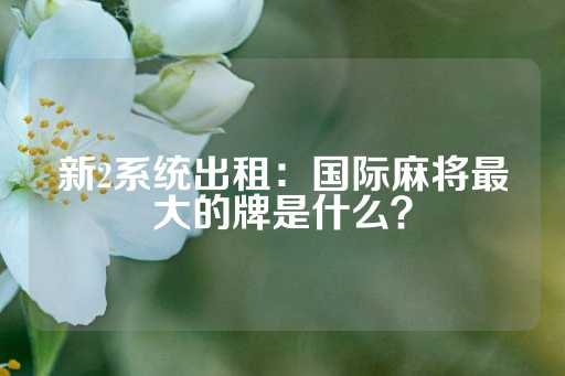 新2系统出租：国际麻将最大的牌是什么？-第1张图片-皇冠信用盘出租